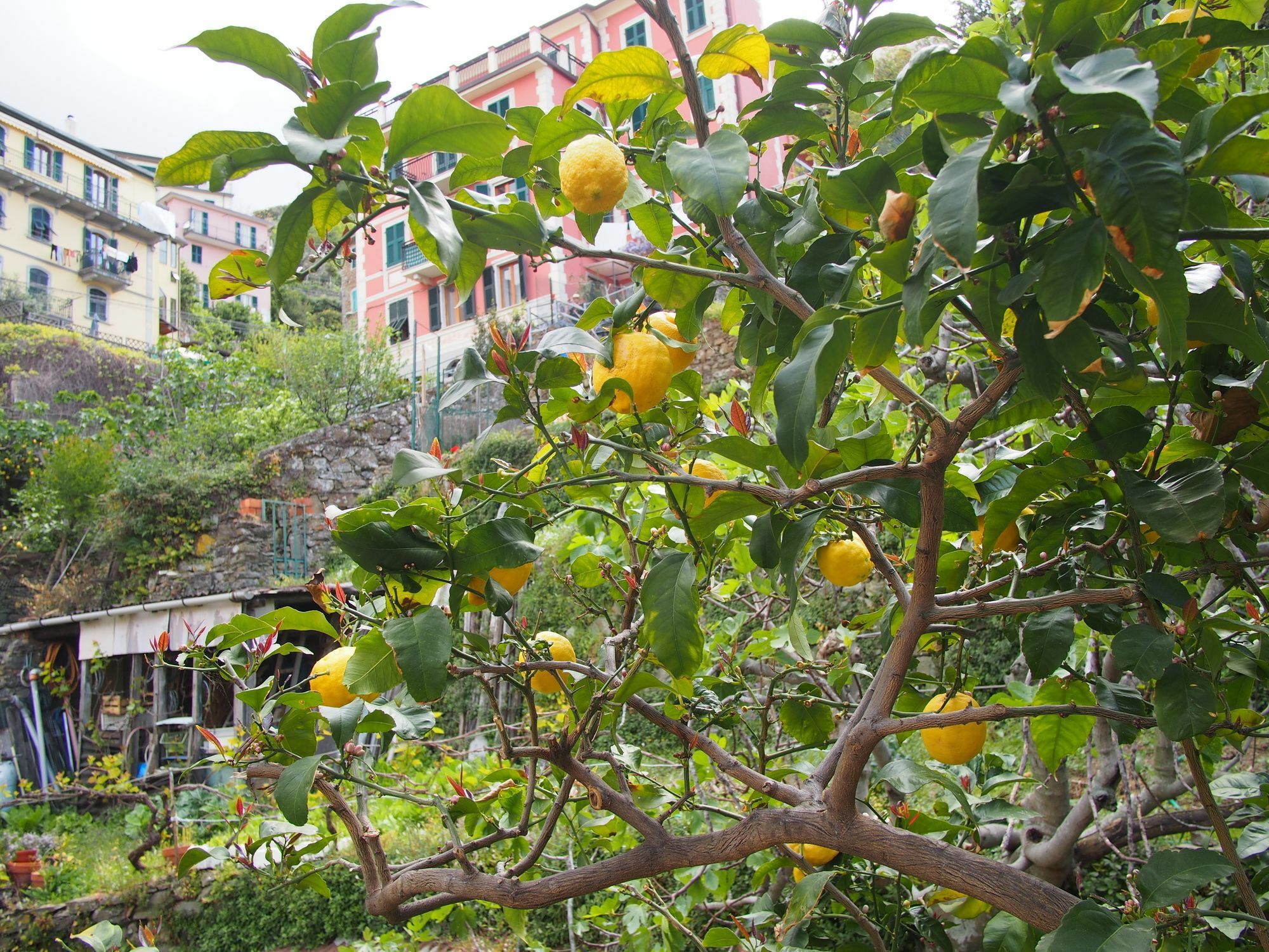 Ciao Bella Rainbow Hotel Riomaggiore Exterior foto